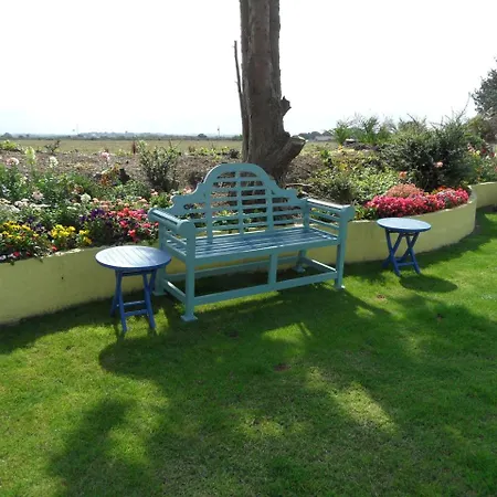Monterey Pines